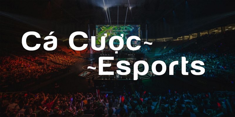 Cá cược esport Mu88 là gì?