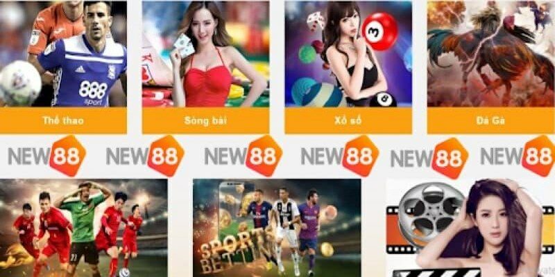 Tại sao nên cá cược trực tuyến tại nhà cái New88?