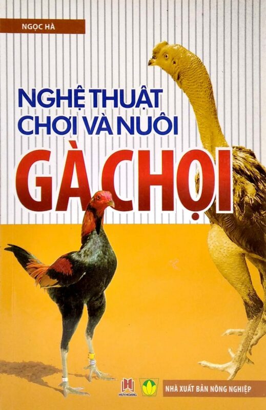 Nghệ thuật chơi và nuôi gà chọi